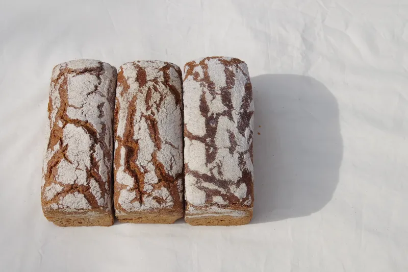 酸味のあるライ麦パン