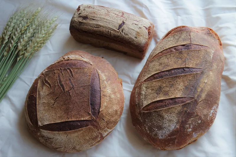 テンパーニュ　＊17日のみ