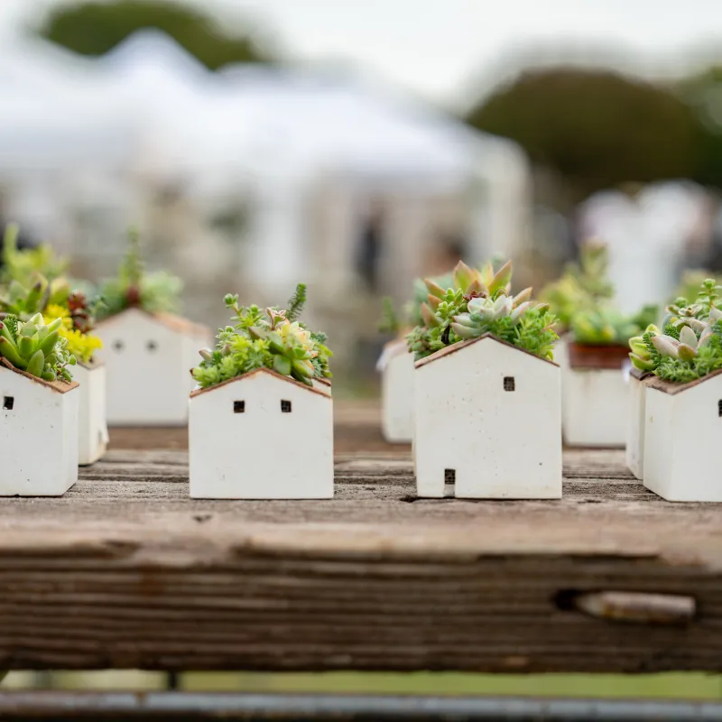 初期TOKIIROの浦安のアトリエを模した器。屋根はガラスで自然光が入る設計でした。天窓の位置に多肉が植えてあります。