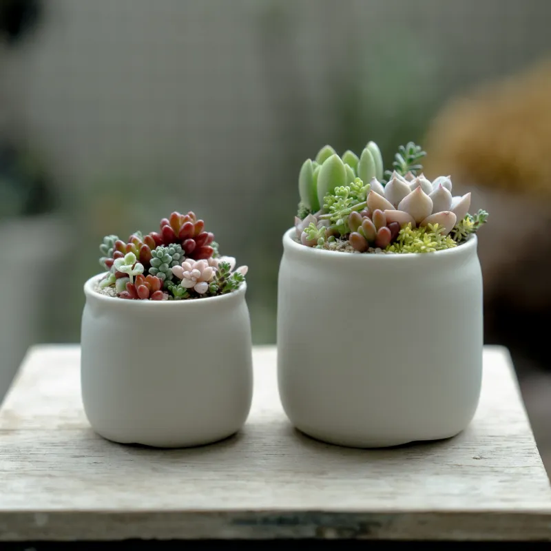 TOKIIROのアレンジの器は多くの作家さんに制作していただいています。器にあったアレンジ。多肉に合わせた器。