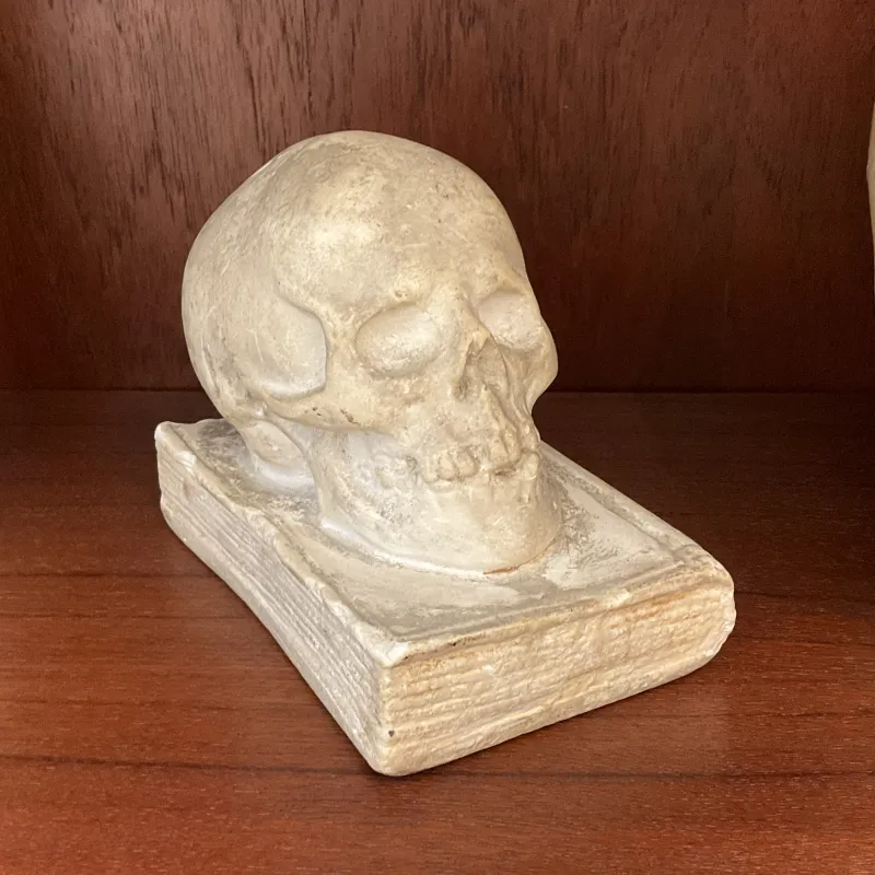 古いフランスの石膏像