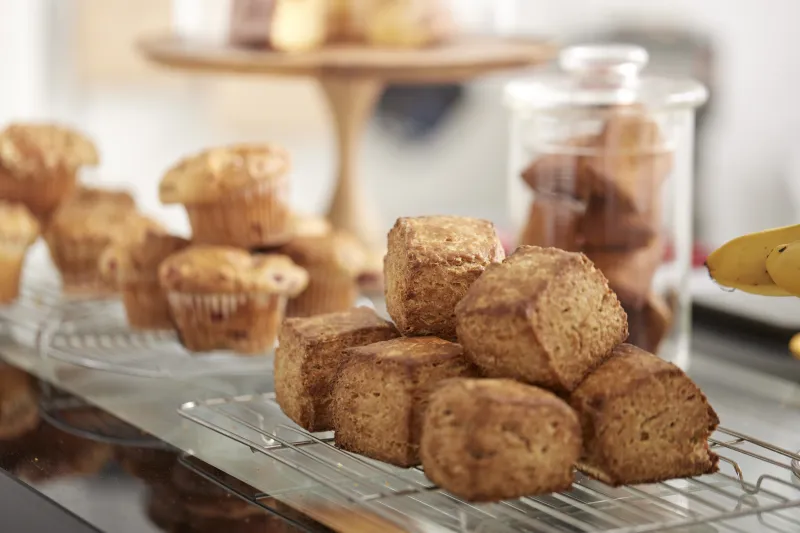 wellk / taik　＊14日・15日のみ