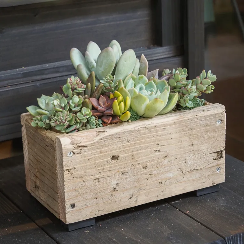 足場板を使用したミニプランター！　多肉植物と相性ばっちり