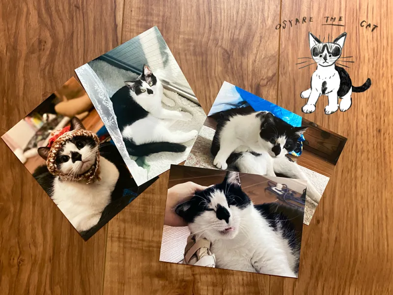OSYARE THE CAT　生写真くじ