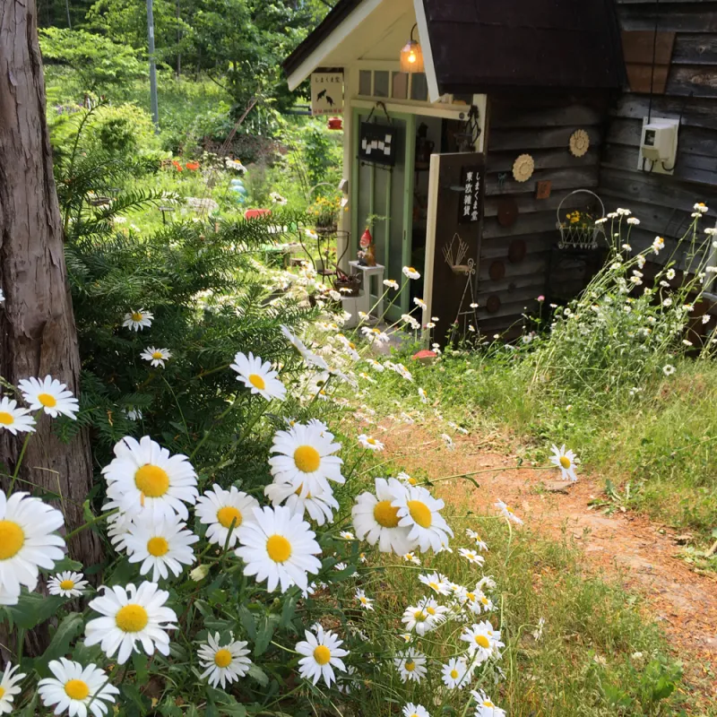 手芸本と繕い道具
