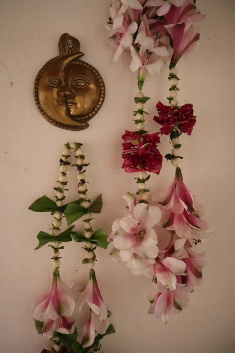 花といろいろ種花