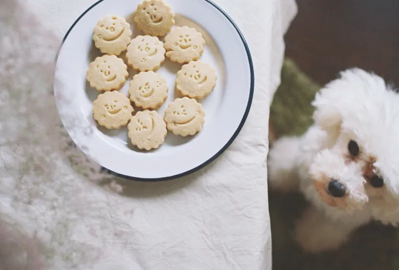オヤツと珈琲　日溜