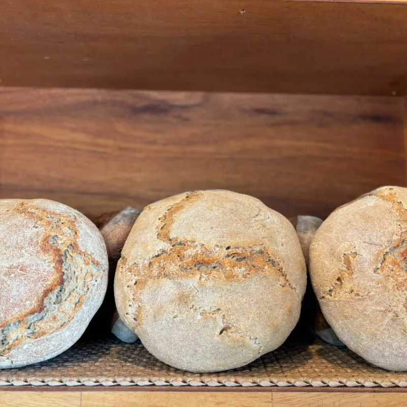 「古代小麦ターキーレッドのぱん」長沼町で栽培されている自然栽培古代小麦のパン