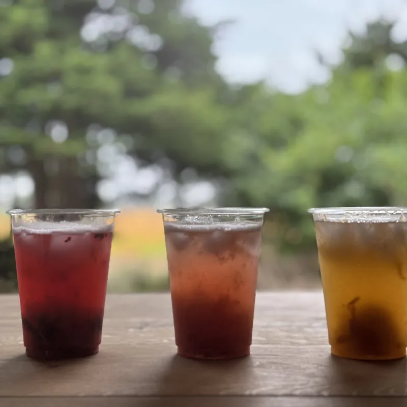 「季節のフルーツドリンクパーラー」梅、プラム、ルバーブなど。果実がゴロゴロと入ったフルーツソーダやお飲みもの、いろいろ。旬を感じてください！