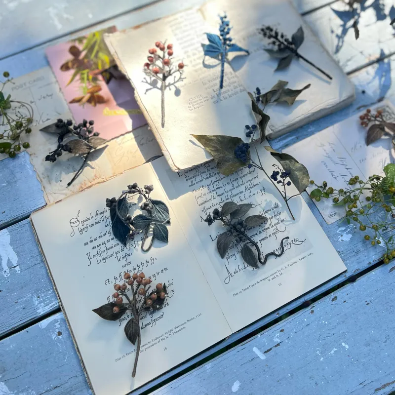 「蔦の植物ブローチ」太陽の光の下でスクスクと伸びる蔦のブローチ.